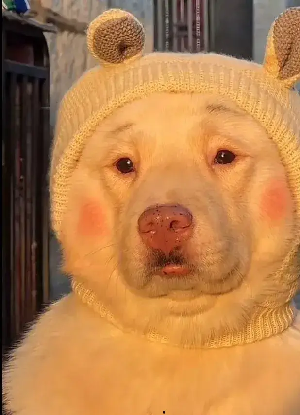 Gương mặt cười bất cần toát thần thái hài.