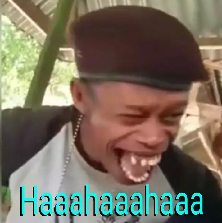 Meme cười lớn ghi lại khoảnh khắc thú vị