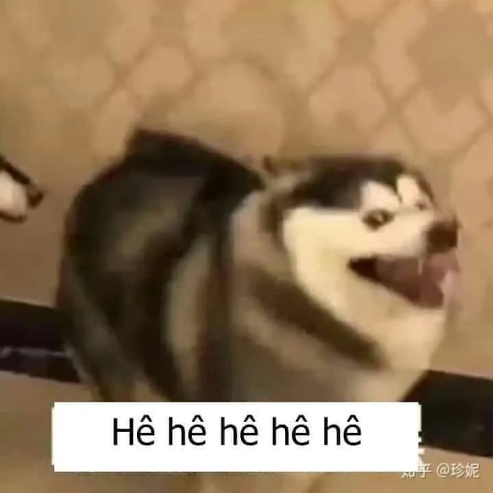 Meme vui nhộn, cười như sắp khóc vì buồn cười.