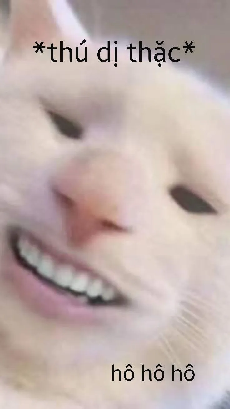 Meme cười nhe răng, nụ cười sáng bừng rạng rỡ.