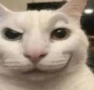 Biểu cảm mèo giễu cợt cực bắt trend.