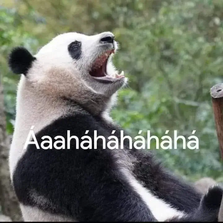 Gấu trúc dí dỏm kèm theo nụ cười haha