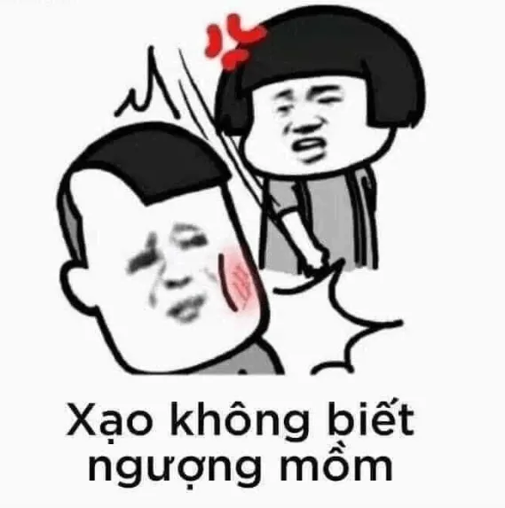 Ảnh chế khi vừa nói xong câu ngu bị đấm vào mồm.