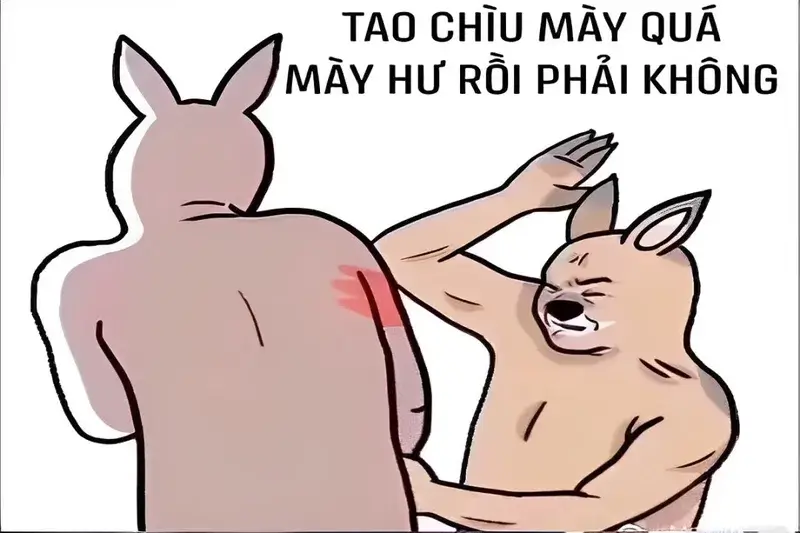 Meme đánh vào vai troll, biểu cảm ai cũng bật cười.