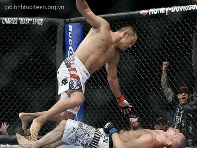 Ảnh các võ sĩ MMA đánh nhau trong lồng bát giác Ảnh các võ sĩ MMA đánh nhau trong lồng bát giác