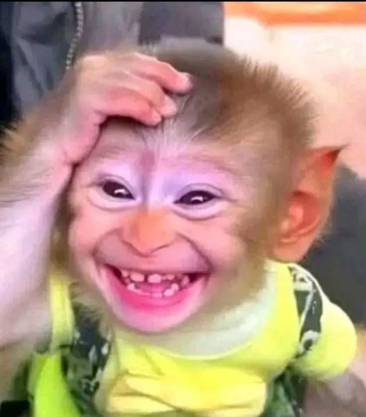 Meme em bé cười siêu ngộ nghĩnh đáng nhớ.