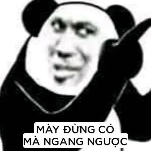Meme gấu trúc bá đạo: Mày đừng có mà ngang ngược