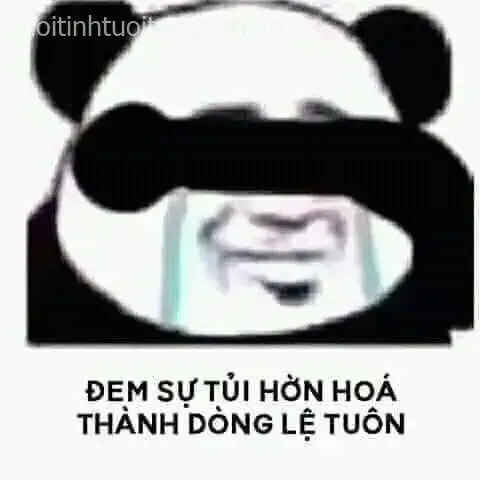 Hình gấu trúc khóc buồn rầu trong dáng vẻ lạc lõng.