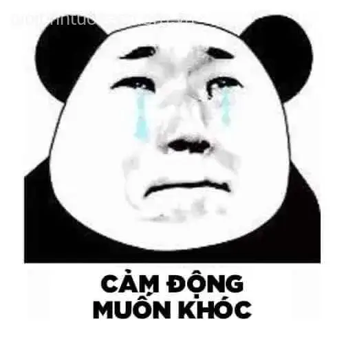 Cảm động muốn khóc