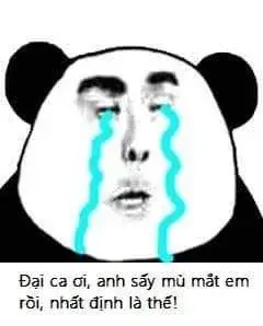 Meme gấu trúc khóc tuyệt vọng trong khoảnh khắc đầy bi kịch.