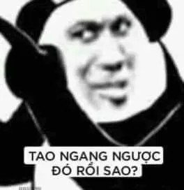 Meme gấu weibo: Tao ngang ngược đó rồi sao?