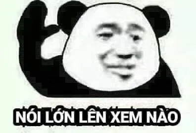 Gấu trúc xấc xược, khuôn mặt lầm lì khó ưa.