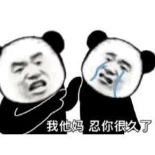 Meme gấu trúc nóng nảy, ánh mắt sắc bén đầy bức xúc.