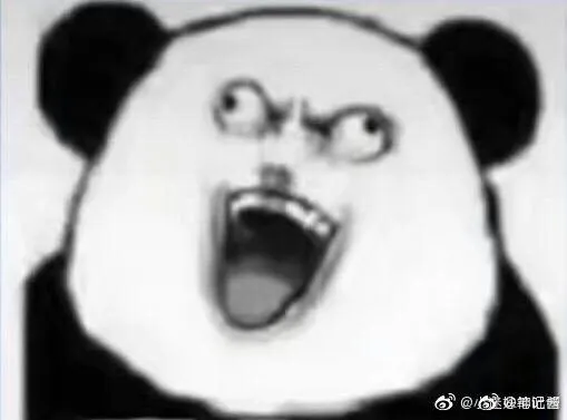 Meme gấu trúc nóng giận, ánh mắt đầy sức mạnh tức tối.