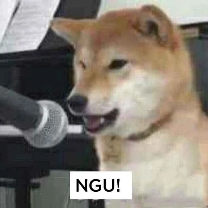 Meme chó tức giận chửi ngu siêu hài