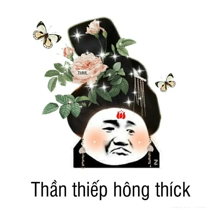 Thần thiếp hông thích