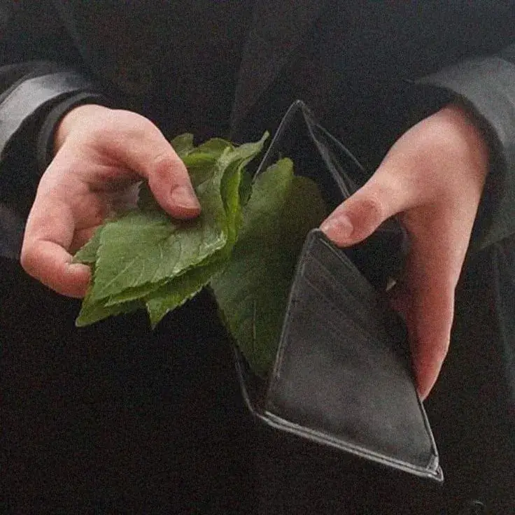 Ảnh meme ví trống rỗng ánh mắt thất vọng