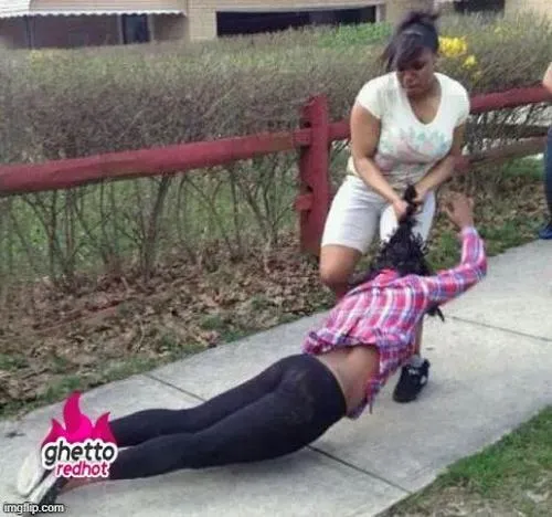 Ảnh hài hước đánh nhau hài với tư thế lao vào đỉnh điểm