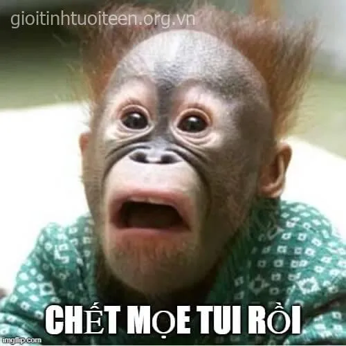 Meme troll biểu cảm đáng sợ tạo tiếng cười rộn rã