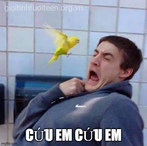 Biểu cảm hốt hoảng đáng yêu khiến netizen thả tim liên tục