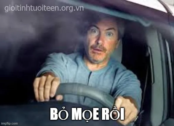 Ảnh chế hoảng hốt cao độ khiến bạn khó nhịn cười