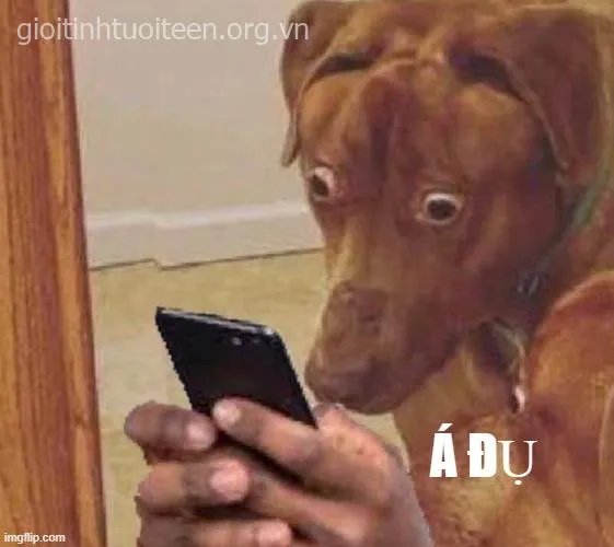 Meme troll sợ hãi pha chút duyên dáng cực đáng yêu