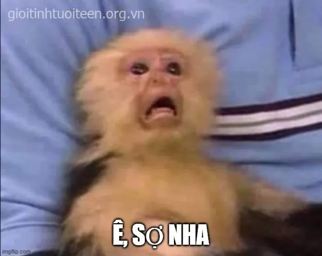 Meme sợ hãi hài hước khẳng định sức hút của meme