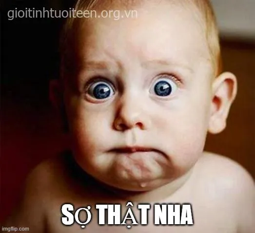 Meme troll run rẩy cực vui khiến ai cũng share