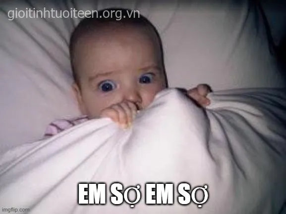 Meme troll đáng sợ khiến bạn bè phá lên