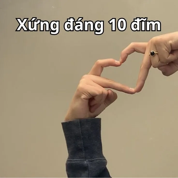 Hình xứng đáng 10 điểm khen ngợi