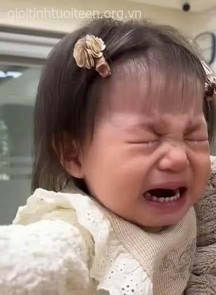 Meme khóc to với tiếng nức nở trông thật thảm thương.