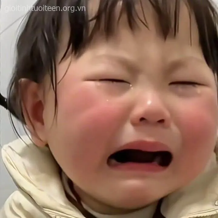 Meme gào khóc cực mạnh, gương mặt méo mó troll bạn bè.
