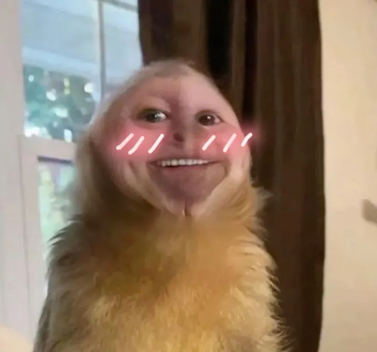 Biểu cảm khỉ con che mặt e thẹn cực đáng yêu