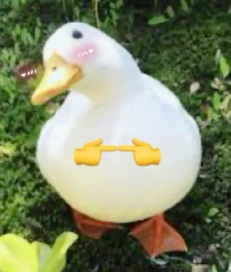 Meme vịt con ngại đỏ mặt dễ thương cực viral