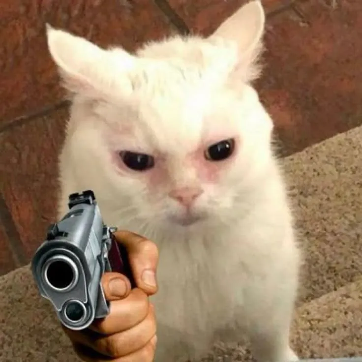 Hình mèo chỉa súng lục biểu cảm giận dữ trông đầy bá đạo