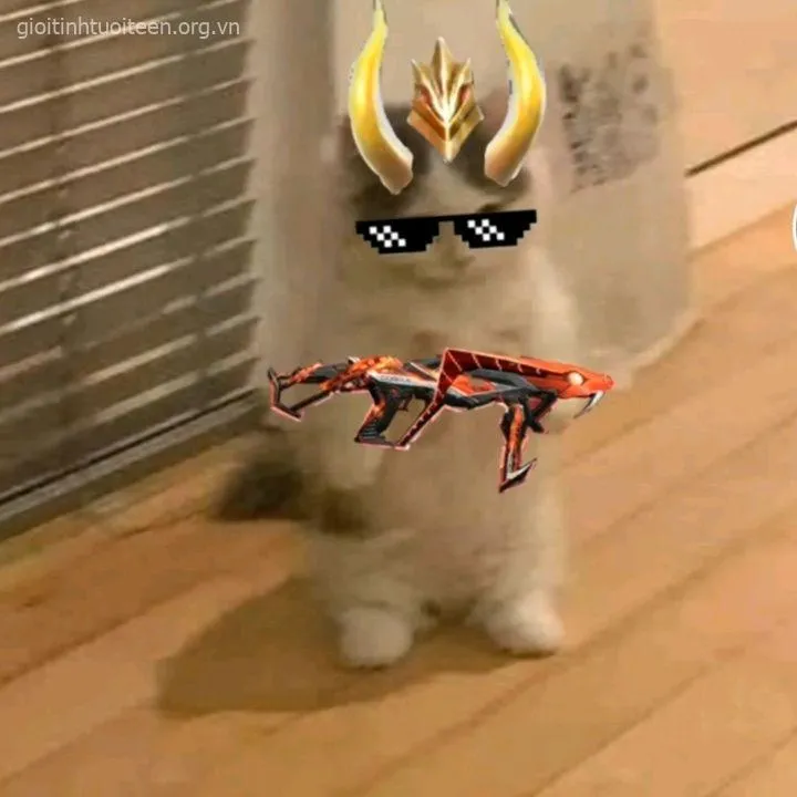 Ảnh mèo bựa cầm súng biểu cảm nghiêm nghị vô cùng bá đạo