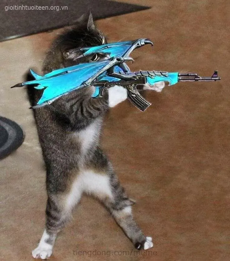 Meme mèo cầm súng ánh mắt quyết liệt cực kịch tính