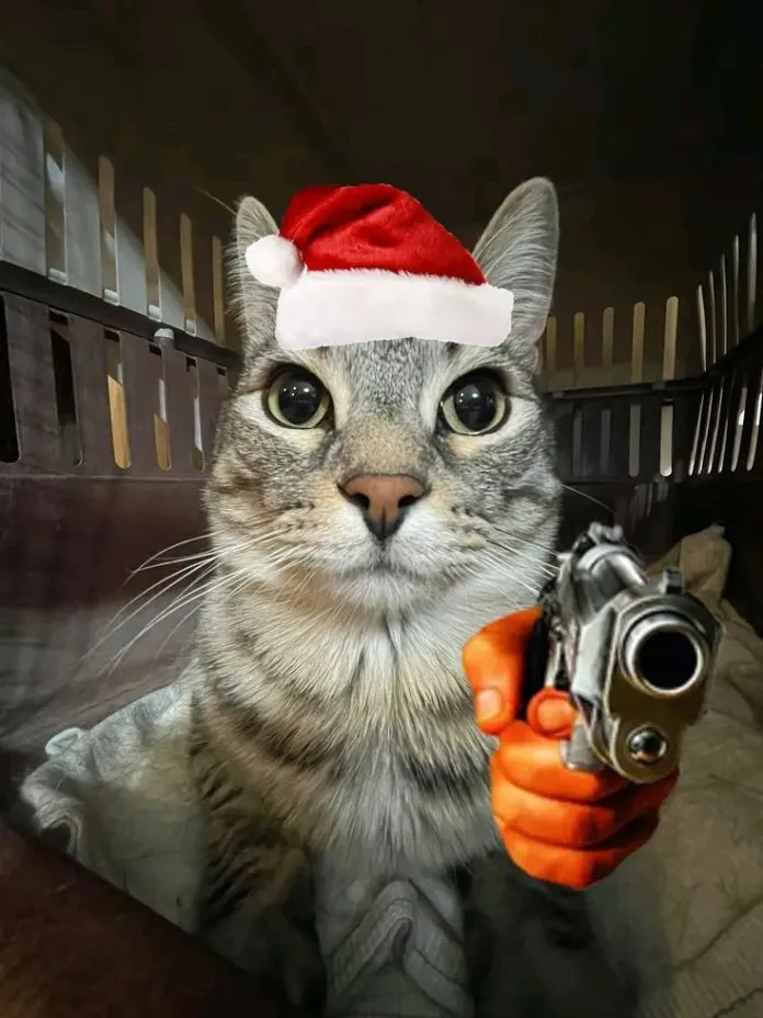 Ảnh mèo bựa cầm súng dáng vẻ đầy kịch tính
