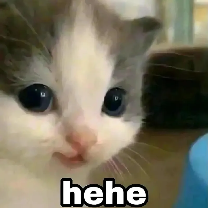 Meme mèo cười xảo quyệt, trông đáng sợ.