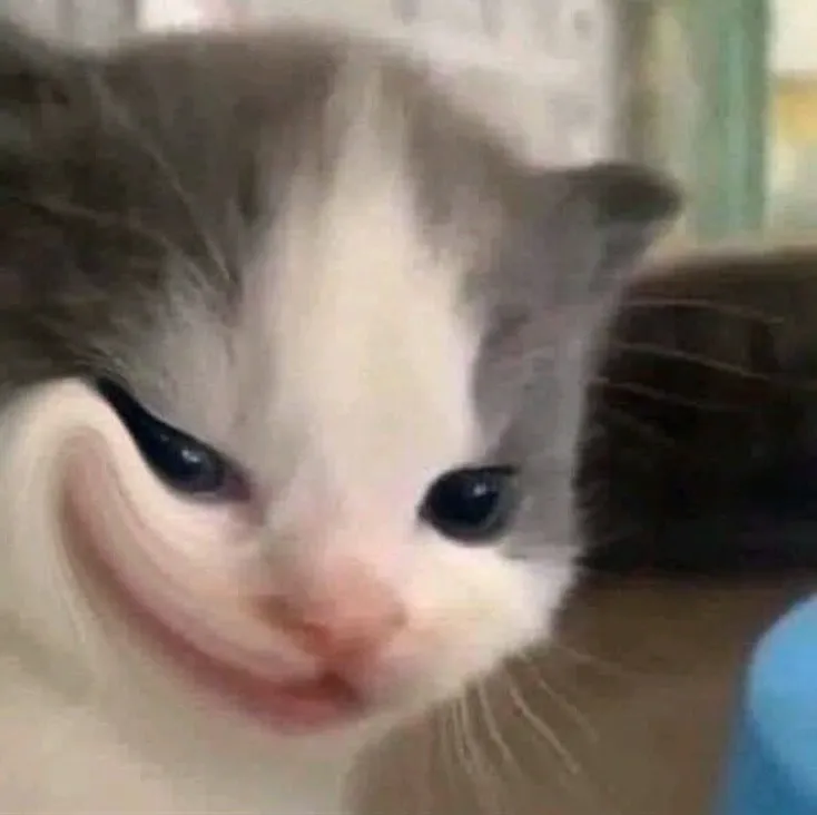 Biểu cảm mèo cười đểu nhếch mép, nụ cười nguy hiểm.