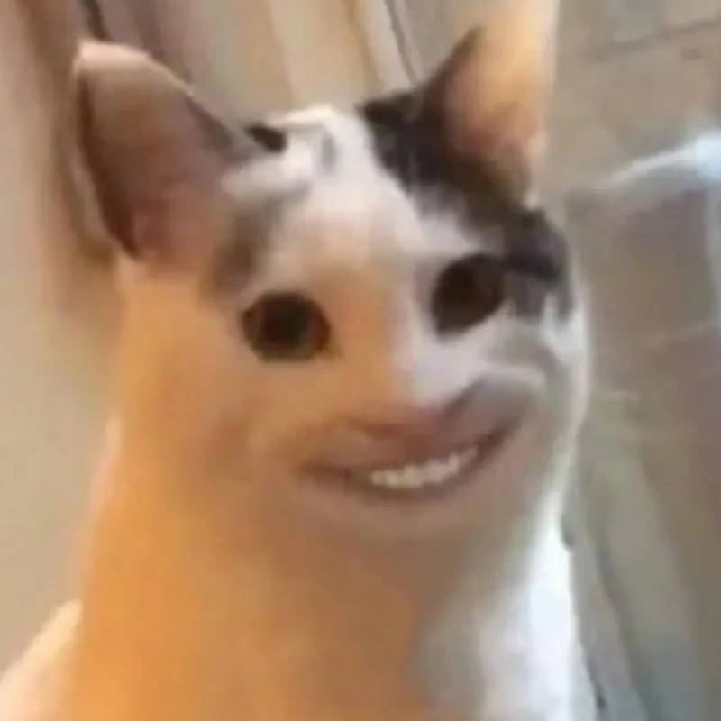 Meme mèo cười giảo hoạt, gương mặt bí hiểm.