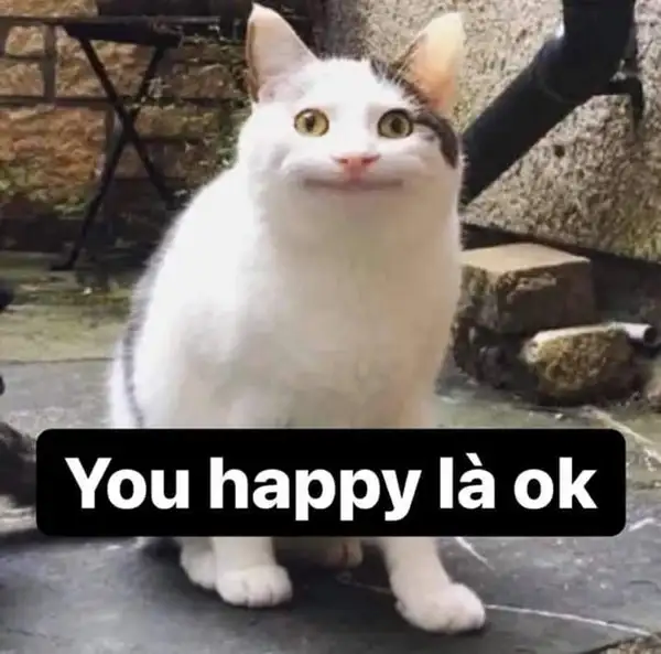 Ánh nhìn lém lỉnh, mèo cười khẩy làm ai khó đỡ.