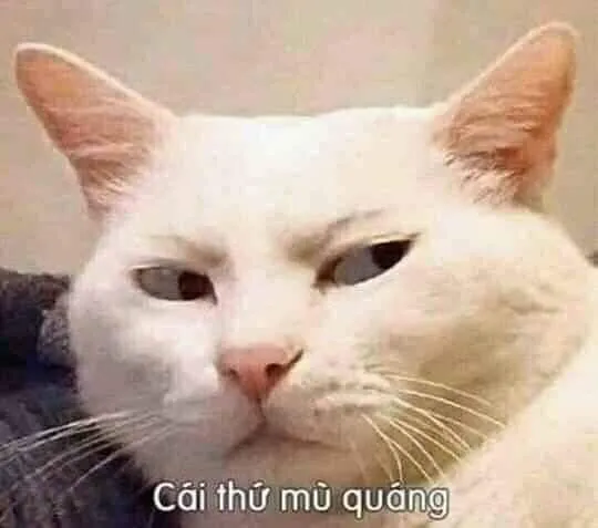 Mèo ranh mãnh nụ cười quỷ quyệt cực kỳ vui nhộn.