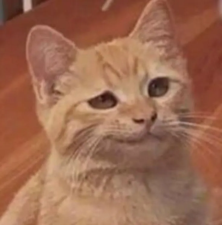 Mèo nhếch môi tinh nghịch, ánh nhìn đầy sự giễu cợt.