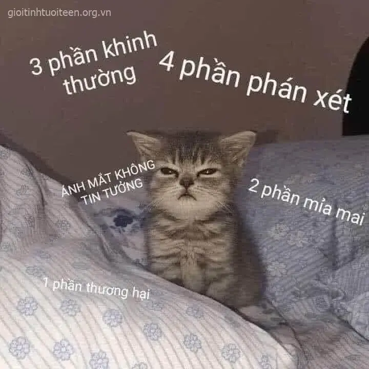 Ánh mắt cà khịa, mèo cười gian xảo cực duyên dáng.