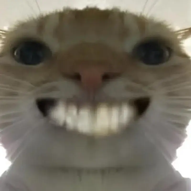 Meme mèo cười lòi hàm răng, biểu cảm siêu lầy.