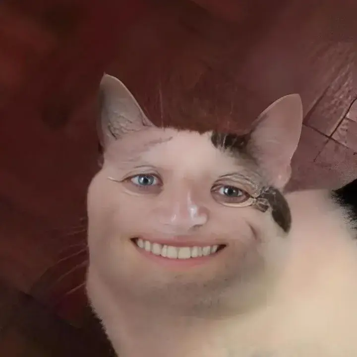 Meme mèo nhe răng cười toe, ánh mắt ngây ngô.