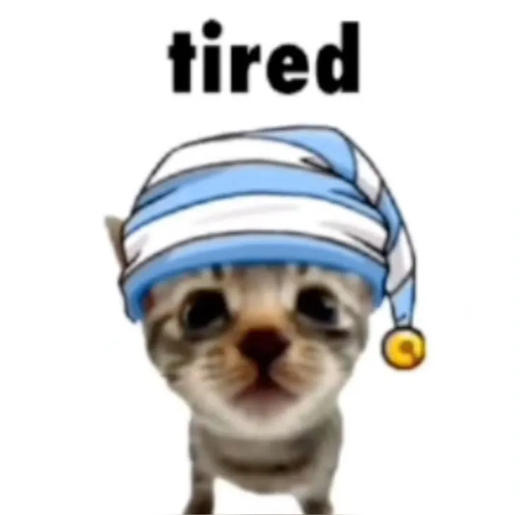 Meme mèo mệt mỏi chán chường, ánh mắt buồn cười vô đối