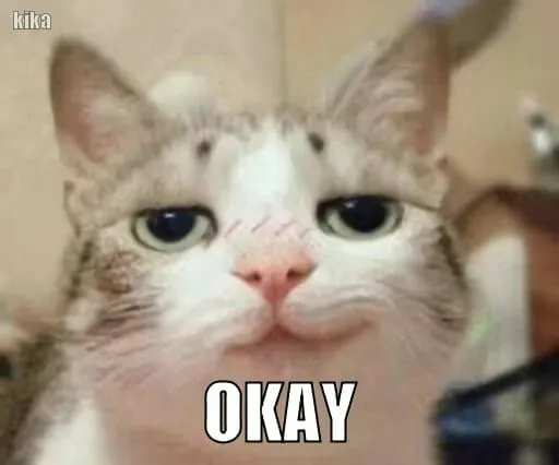 Ánh mắt mèo nghi ngờ khiến tôi muốn trốn đi