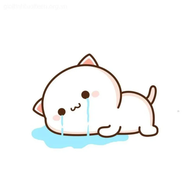 Ảnh mèo khóc che miệng, biểu cảm đau khổ thật buồn cười